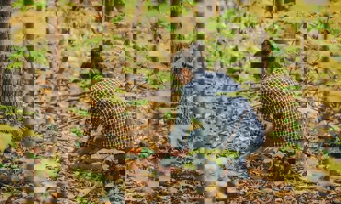 TN Collaborative Resource Management Blog Post