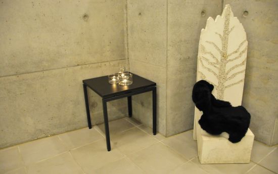 Ilisimatusarfik profile image 4