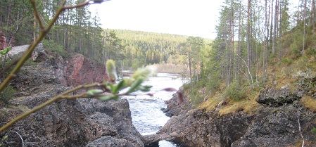 Barents Summer School 2016 Oulanka