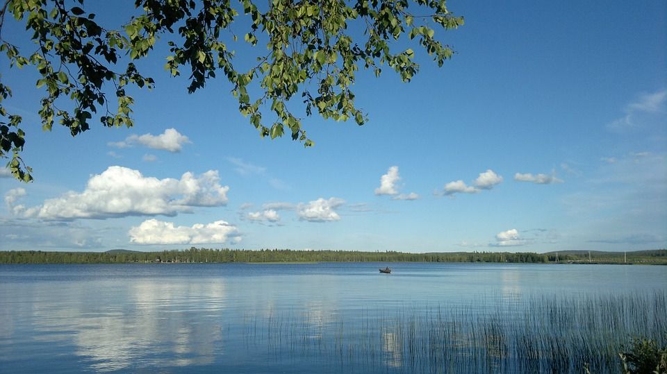 kesä.jpg