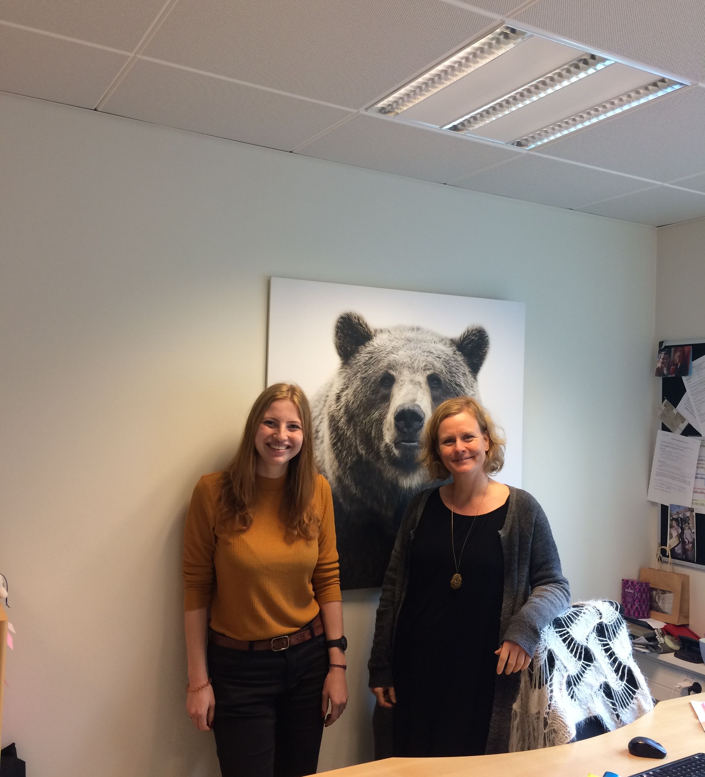 n2n Kaptsova report.JPG