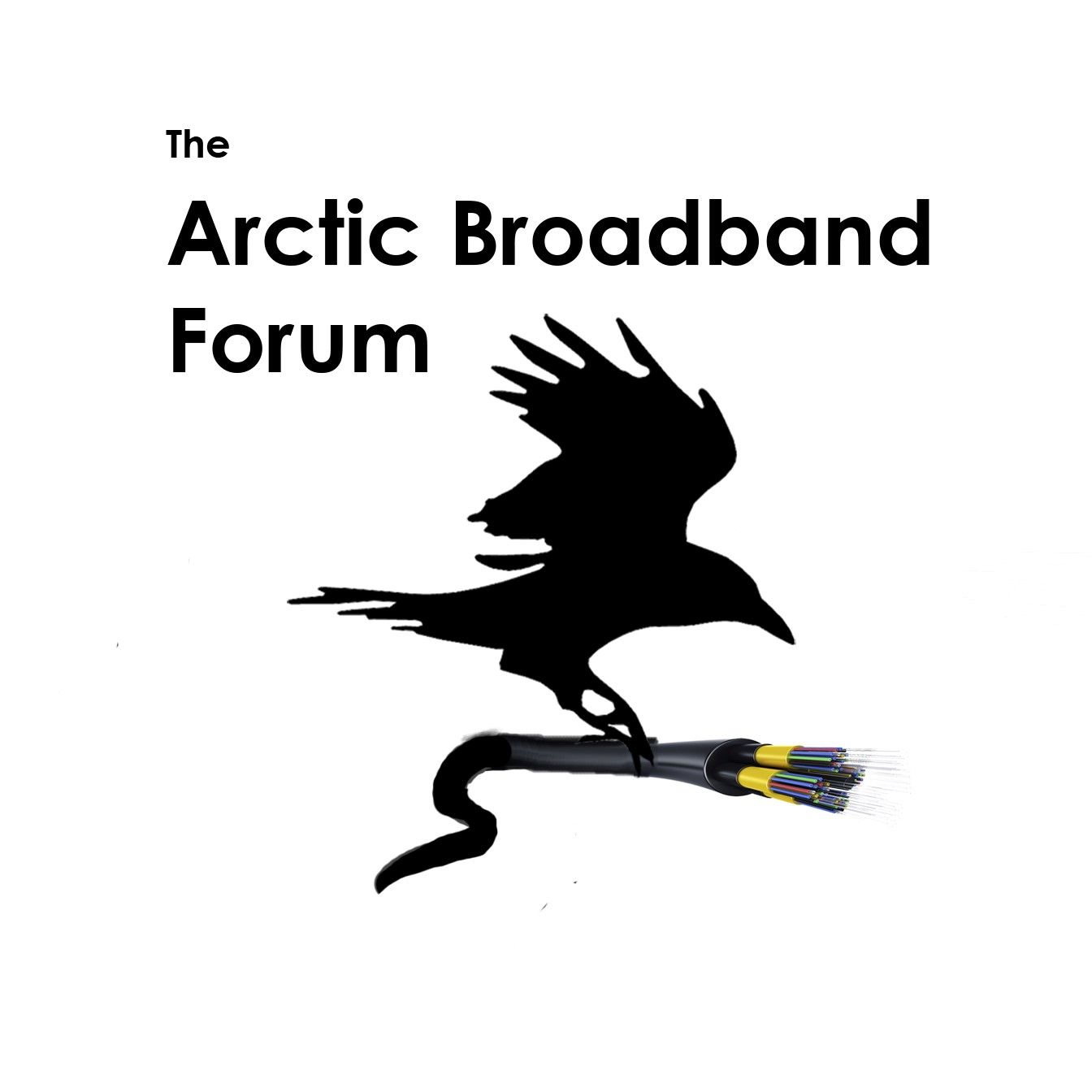 The Arctic Broadband Forum.jpg