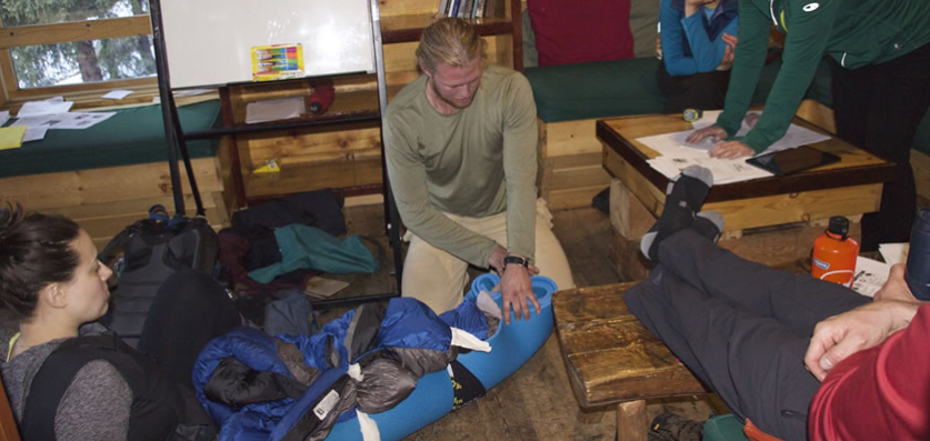 Polar medicine 1.PNG