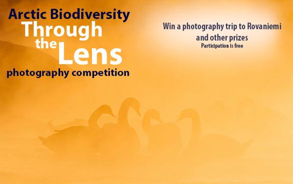 Through the Lens photo competition 2018.PNG