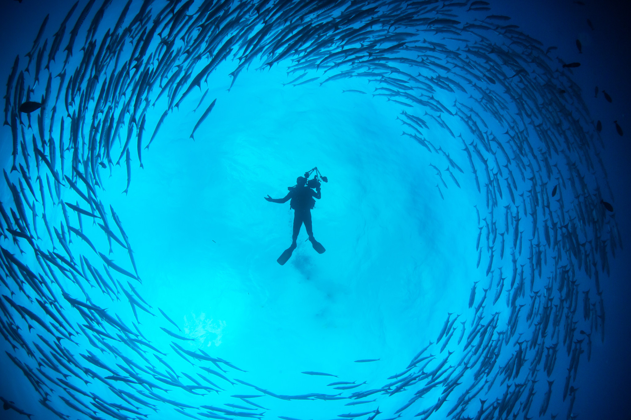 Barracuda Tornado T20 Ggx7vo