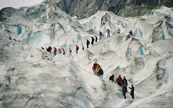 Nord University Profile 5