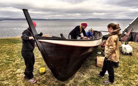 Nord University Profile 6