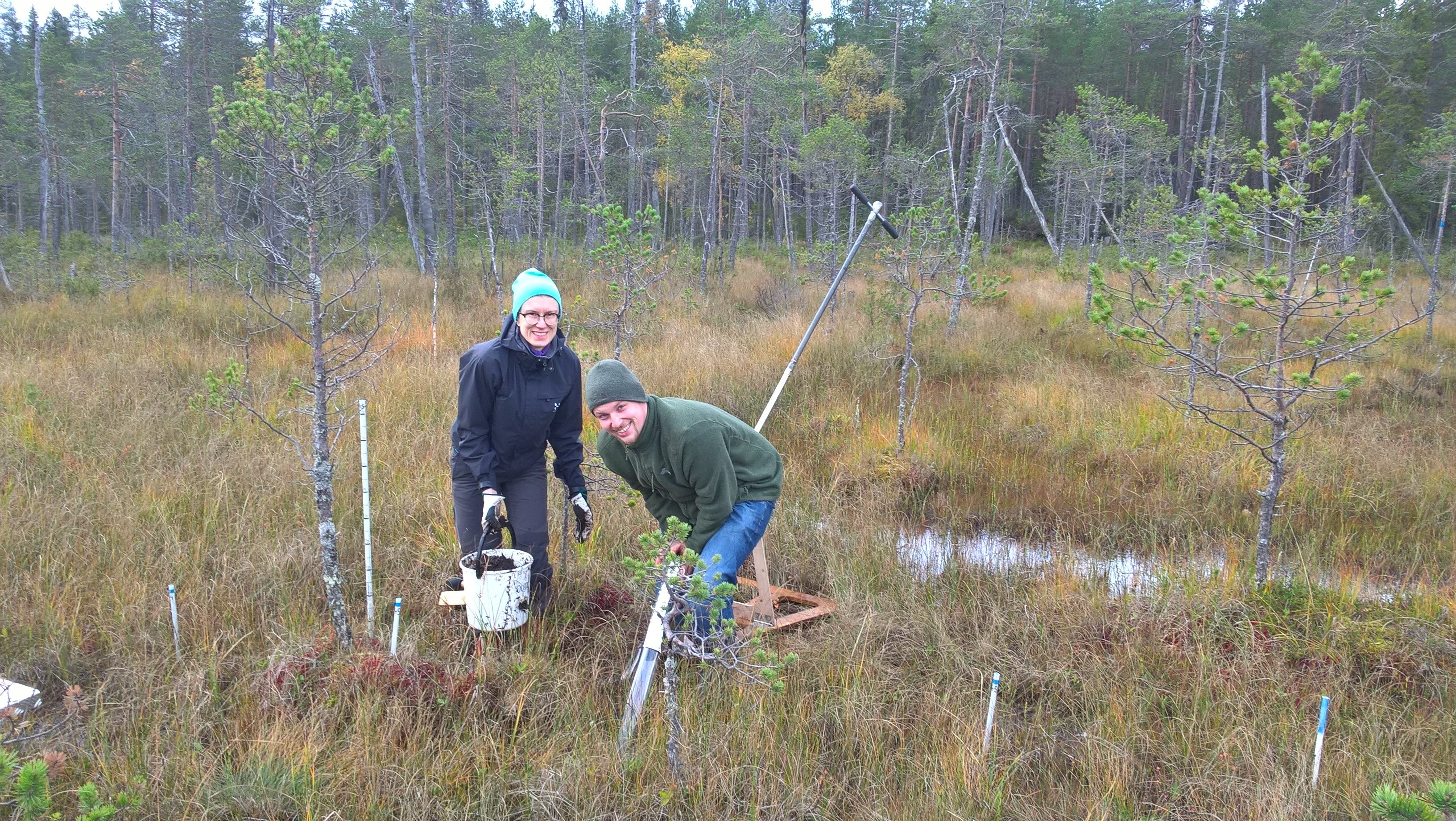 Maria together with Bo Peters (University of Greifswald) at the Puukkosuo fen installing root scanning tubes