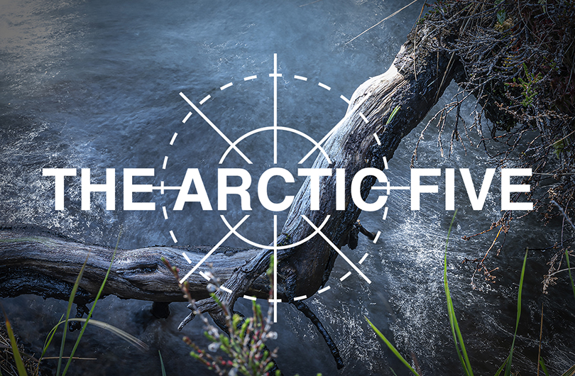 The Arctic Five Cover Image