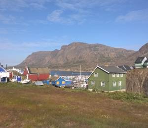 Thematic Networks Success Stories