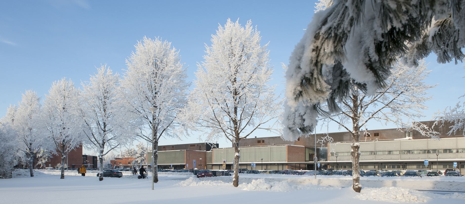 Joensuu campus in winter
