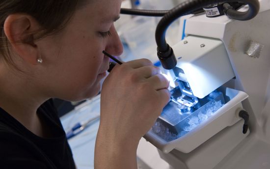 Molecular research at UEF