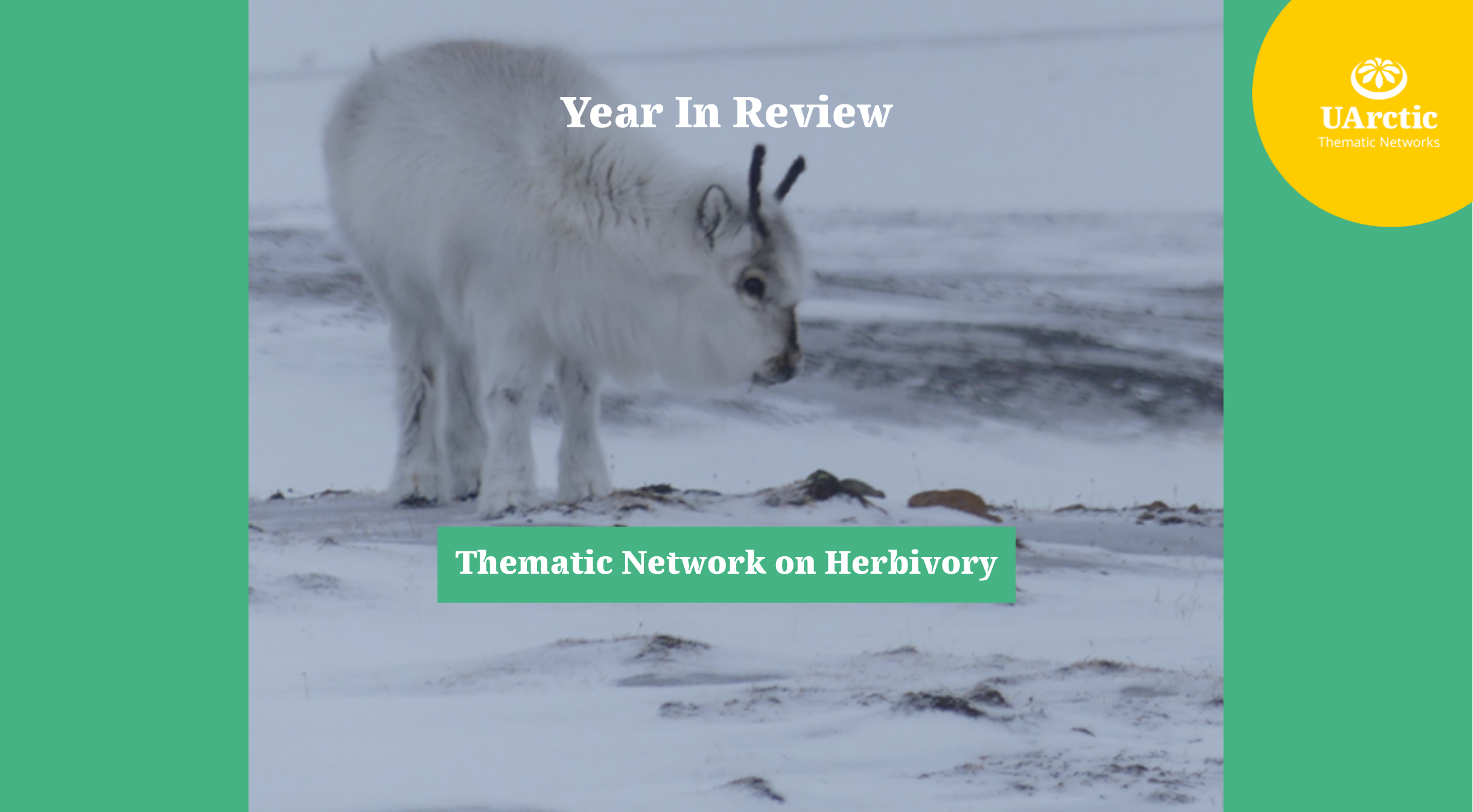 Herbivory Year In Review News Banner