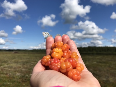 TN Northern Tourism news 2