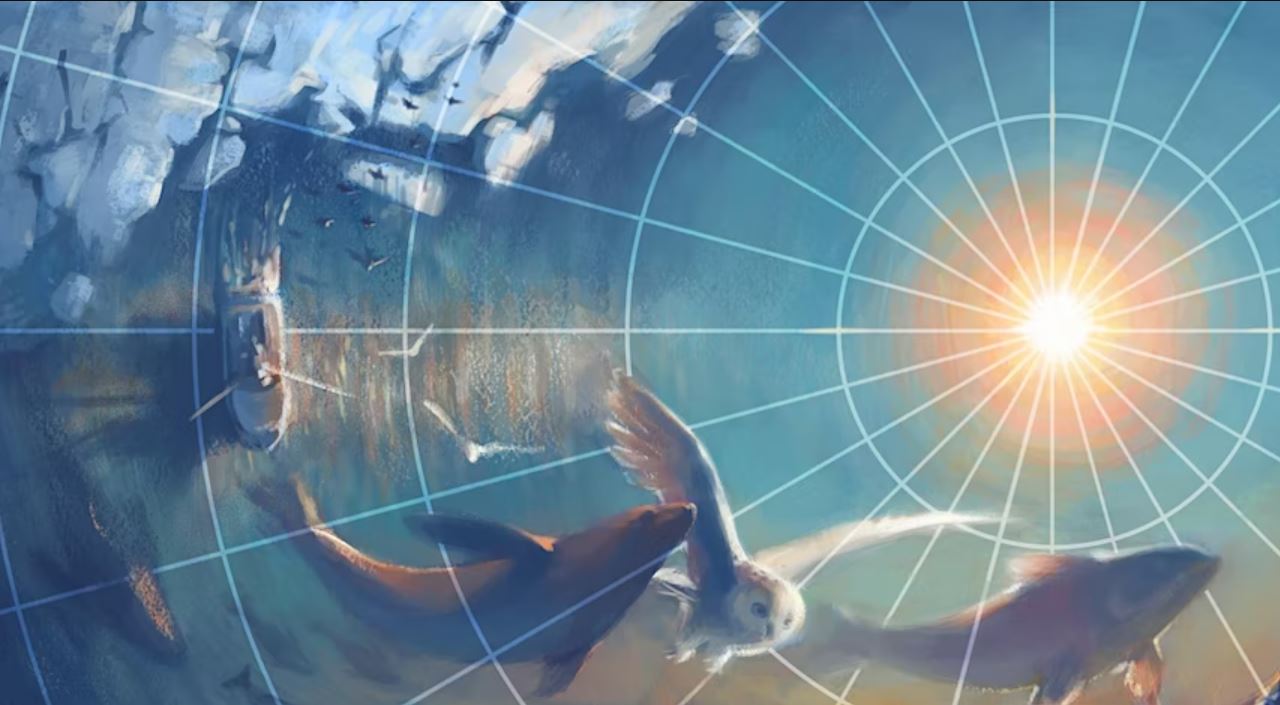 Arctic Security, Borders, And Immigration Webinar